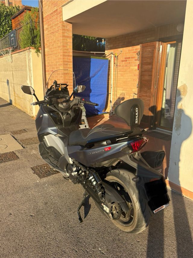 Maxsym 508 TL con schienale Shad