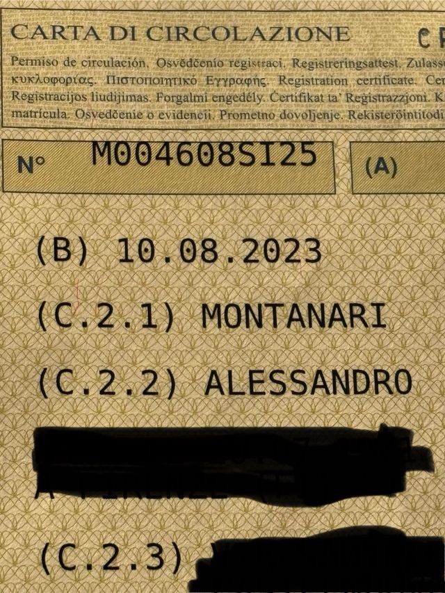 Maxsym 508 TL con schienale Shad