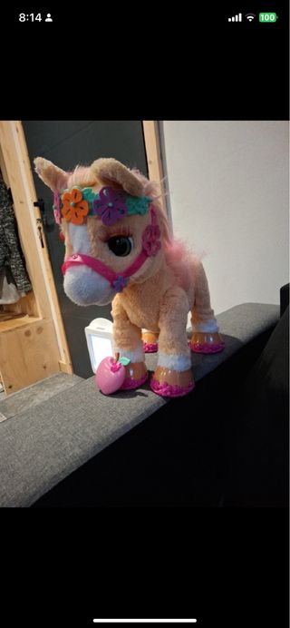 Pony Interactivo Canela