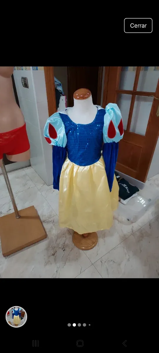 Disfraz niña talla 5 años