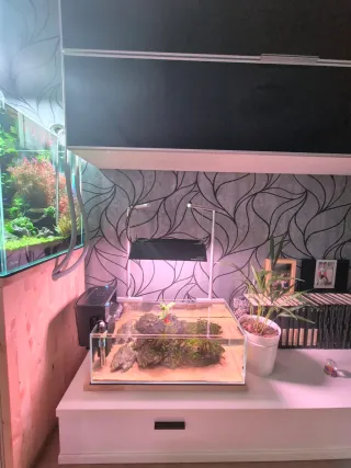 Soportes Chihiros para Pantallas