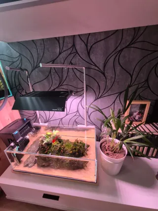 Soportes Chihiros para Pantallas