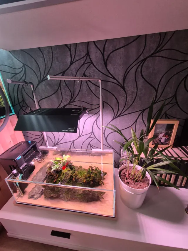 Soportes Chihiros para Pantallas