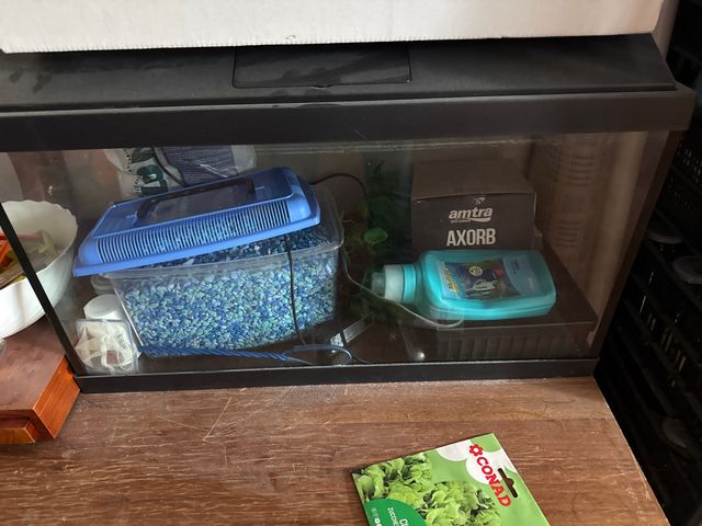 Acquario 60 litri completo con accessori