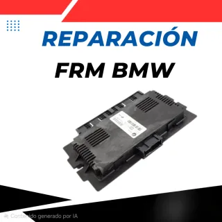 Reparación módulos FRM3 BMW-Mini Módulo de pies