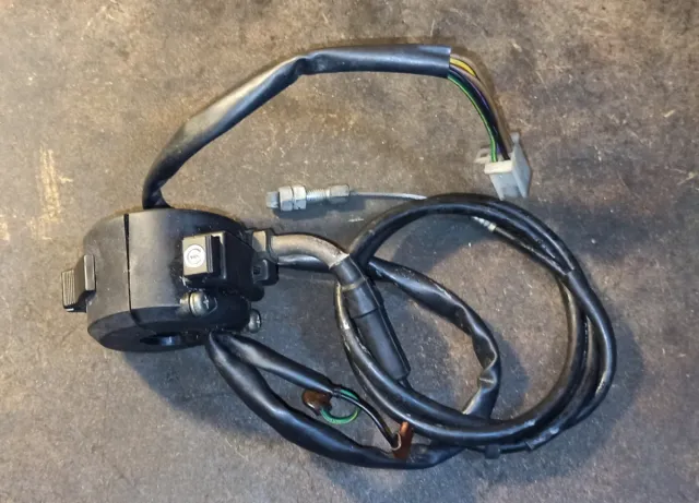 Piña de luces Daelim