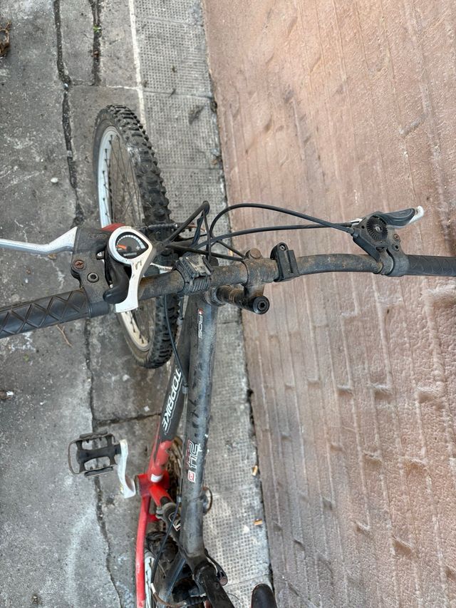 Bicicleta Montaña Topbike Niño 24