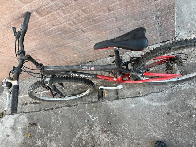 Bicicleta Montaña Topbike Niño 24