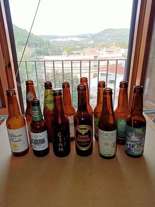 Lotto di 12 diverse bottiglie di birra