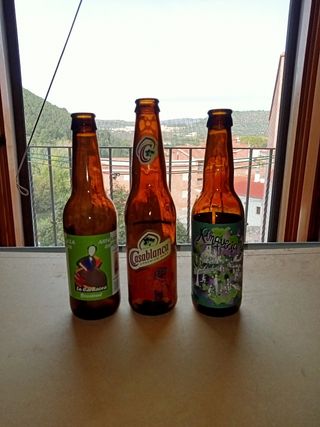 Lotto di 12 diverse bottiglie di birra