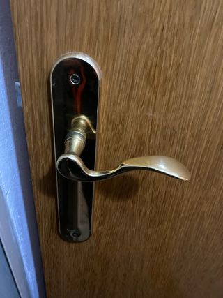 Puerta de madera con manilla dorada