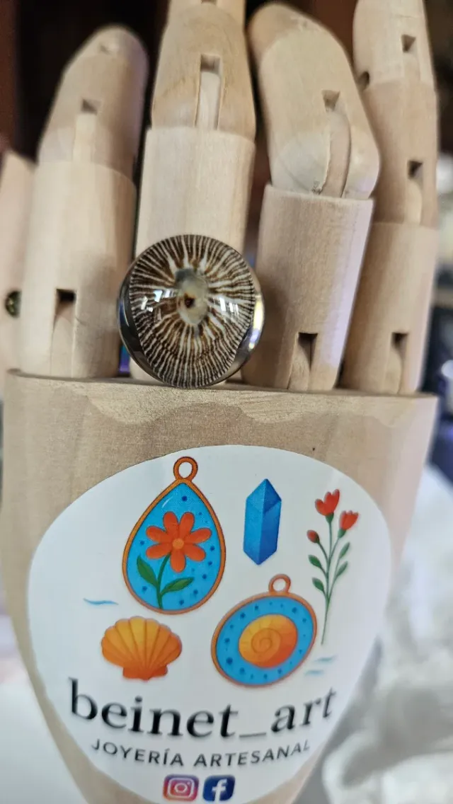 Anillo Lapa Paella Vulgata