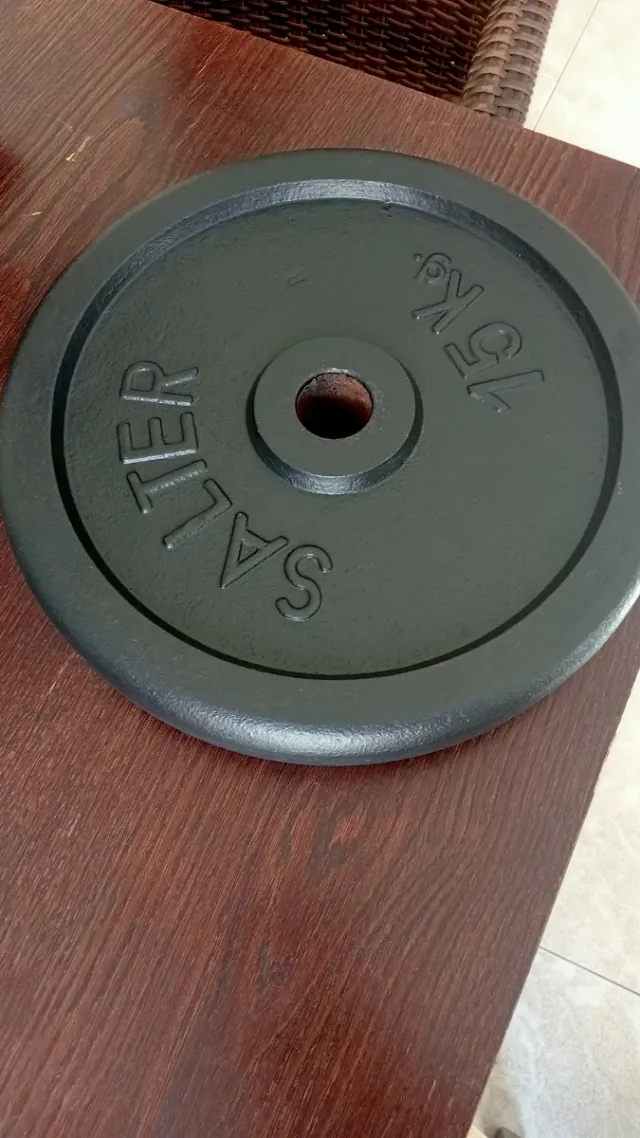 Disco Salter 15 kg
