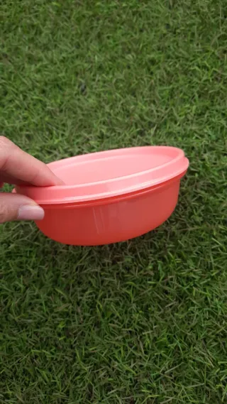 Caixa Tupperware 300ml Coral Nova