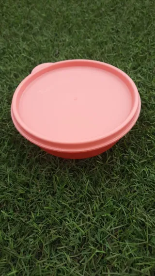 Caixa Tupperware 300ml Coral Nova