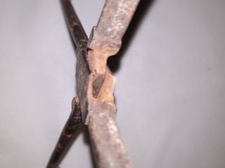 Tenazas grandes antiguas de hierro forjado 36 cm