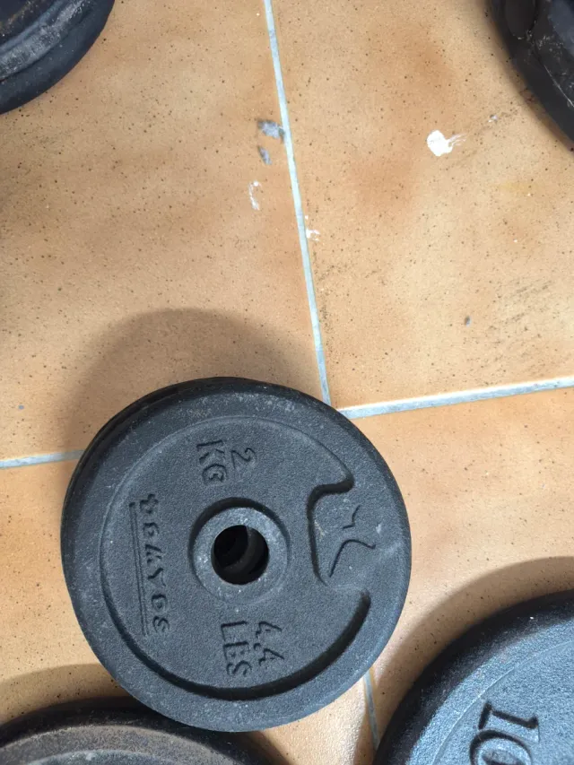 Pesas y discos musculación