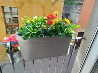 Mesa de comedor de madera con sillas