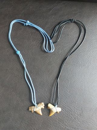 Pack 2 Colgantes de Otodus Azul Negro