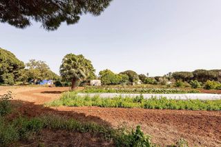Casa rural en venta en Vejer de la Frontera