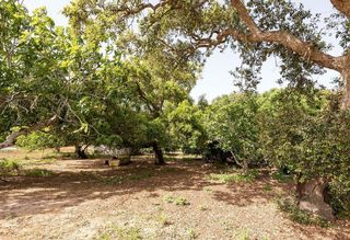 Casa rural en venta en Vejer de la Frontera