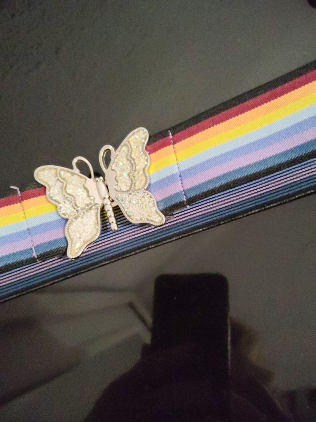 Cinturón Arcoíris con Mariposa Plateada