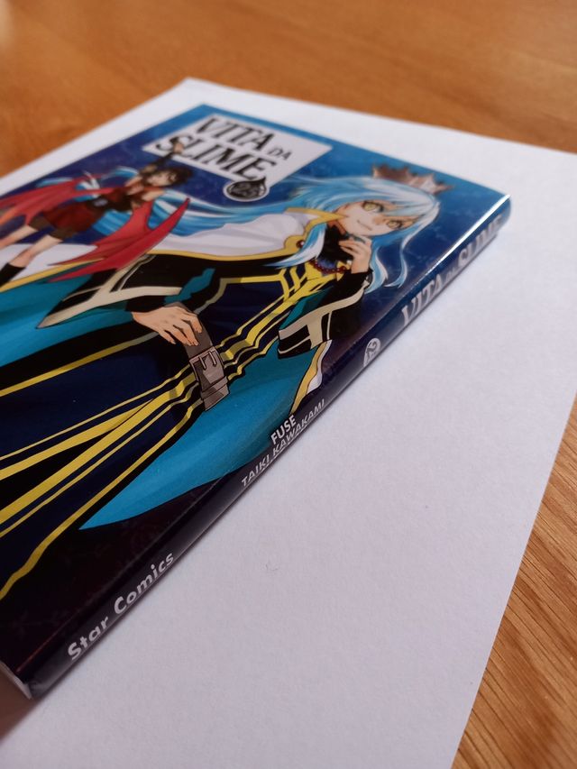 Vita da Slime n.25