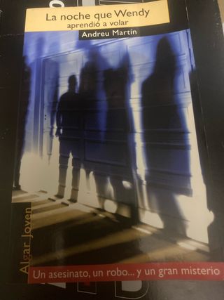 La noche que Wendy aprendió a volar