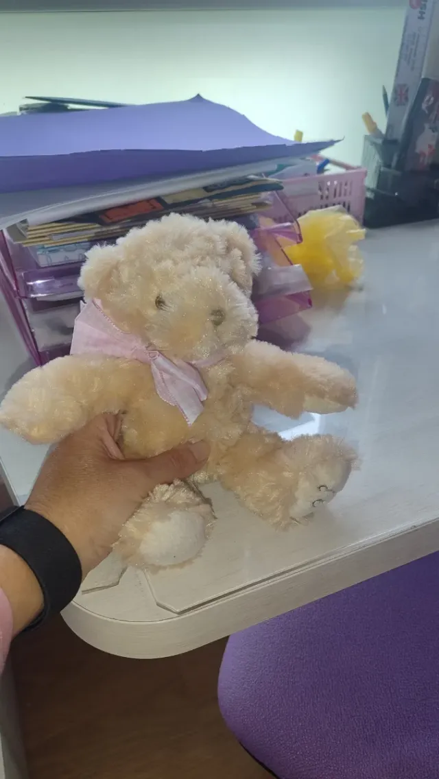 Osito sonajero con luces y gatito