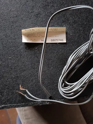 Par de altavoces Sony negros