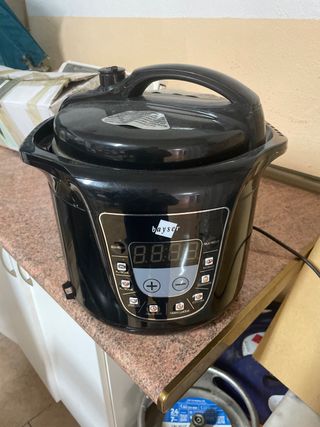 Olla programable Bayser