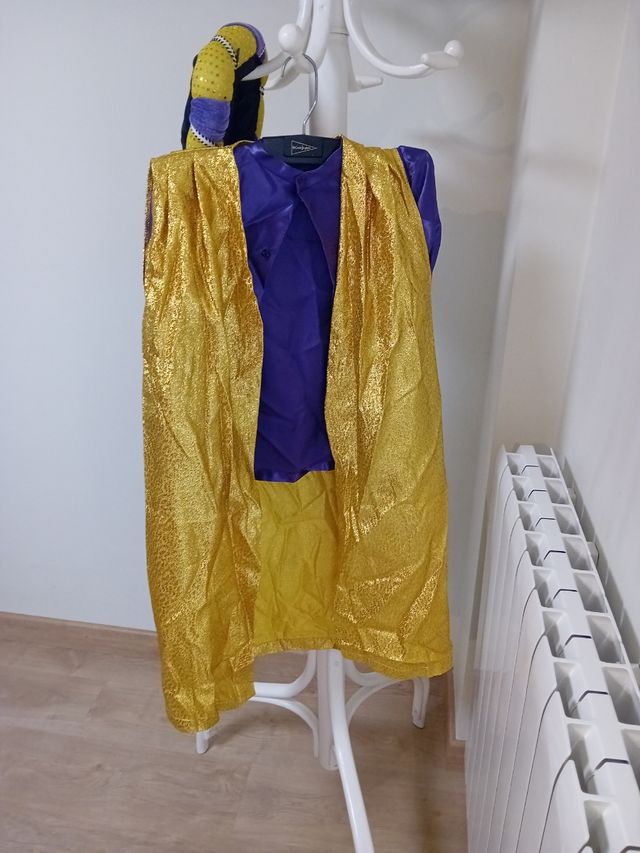 Disfraz Morado Brillante