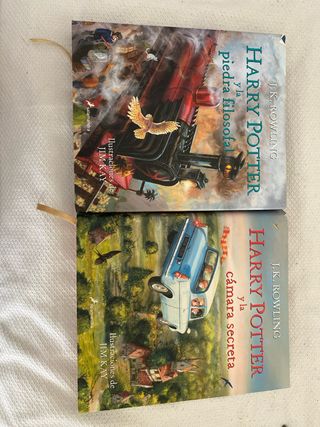 Harry Potter y la piedra filosofal (Harry Potte...