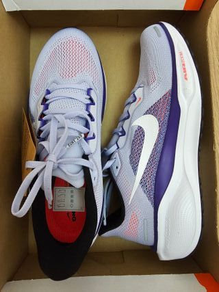 Nike Air Zoom Pegasus 41 v2 Morado/Blanco