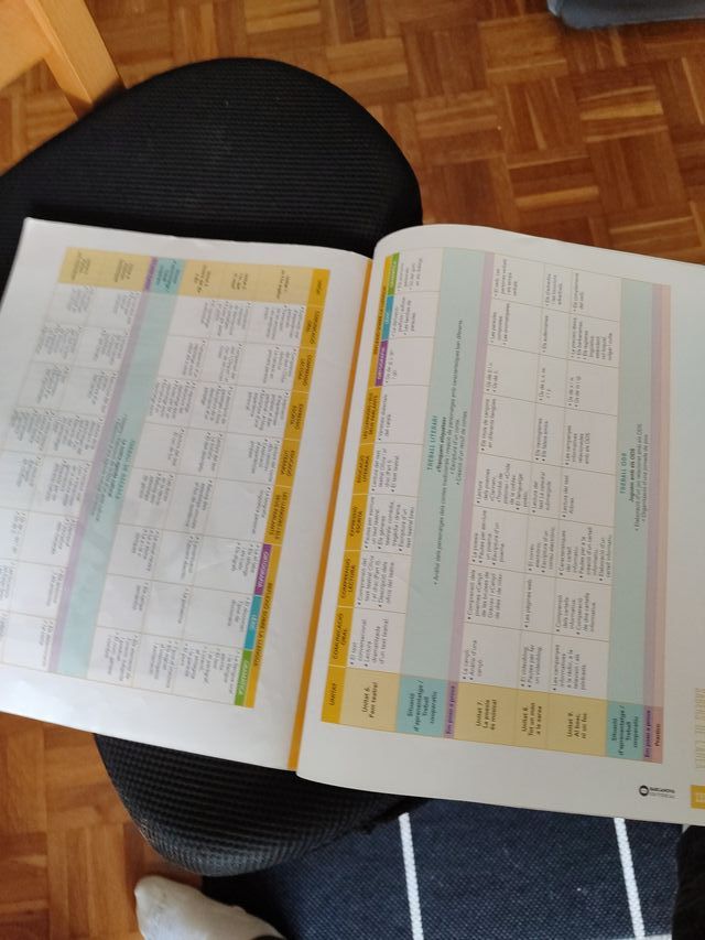 Comunica 4. Llengua catalana. Coxeixements