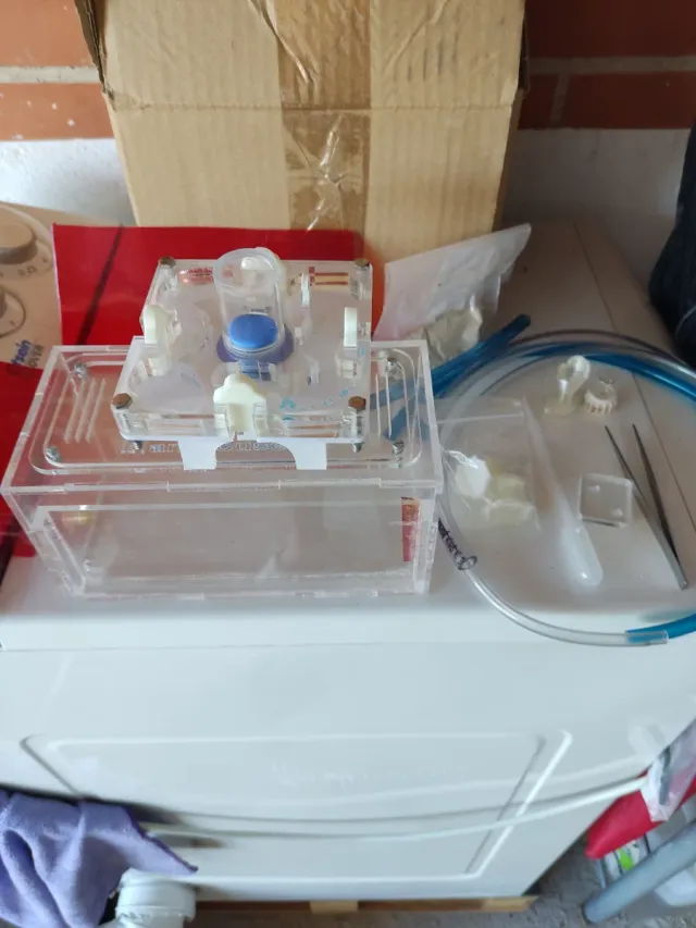 Hormiguero Anthouse Transparente y Azul