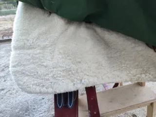 Montura Amazona Los Nietos