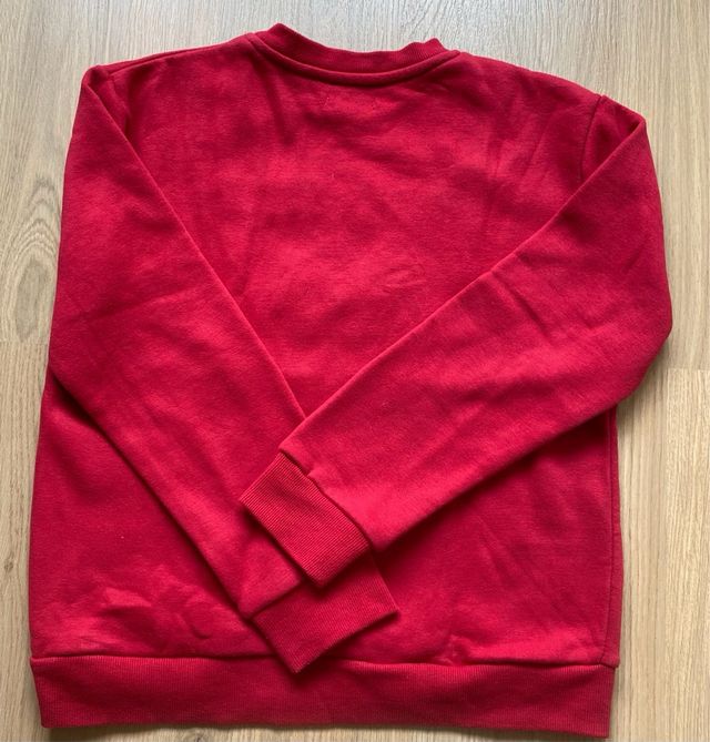 Lote 3 prendas: Sudadera M, Minecraft y Pokémon