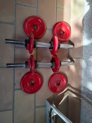 Juego de Pesas Cromadas con Discos Rojos