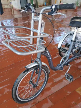 Triciclo Monty con cesta