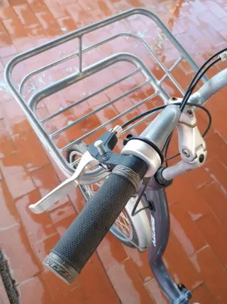 Triciclo Monty con cesta