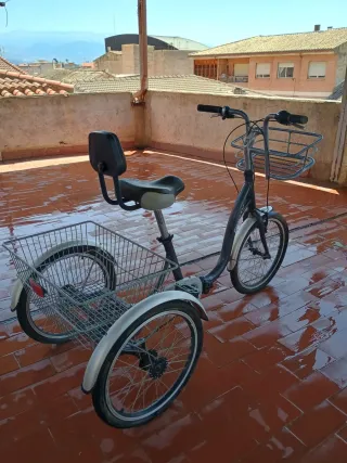 Triciclo Monty con cesta