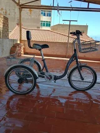 Triciclo Monty con cesta