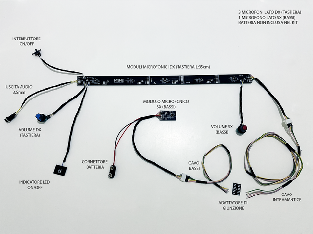 Kit Amplificazione Fisarmonica V-advance