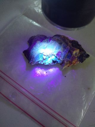 Ámbar Resina Fósil Cretácico