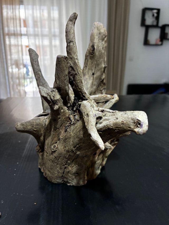 Raíz para acuario natural