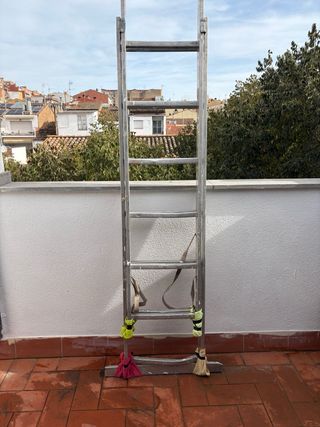 Escalera extensible de aluminio