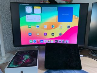 iPad Pro 11 Wifi+Cellular FALLA PANTALLA