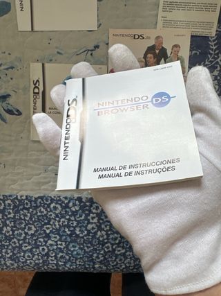 Nintendo Ds Browser con memori expansion 