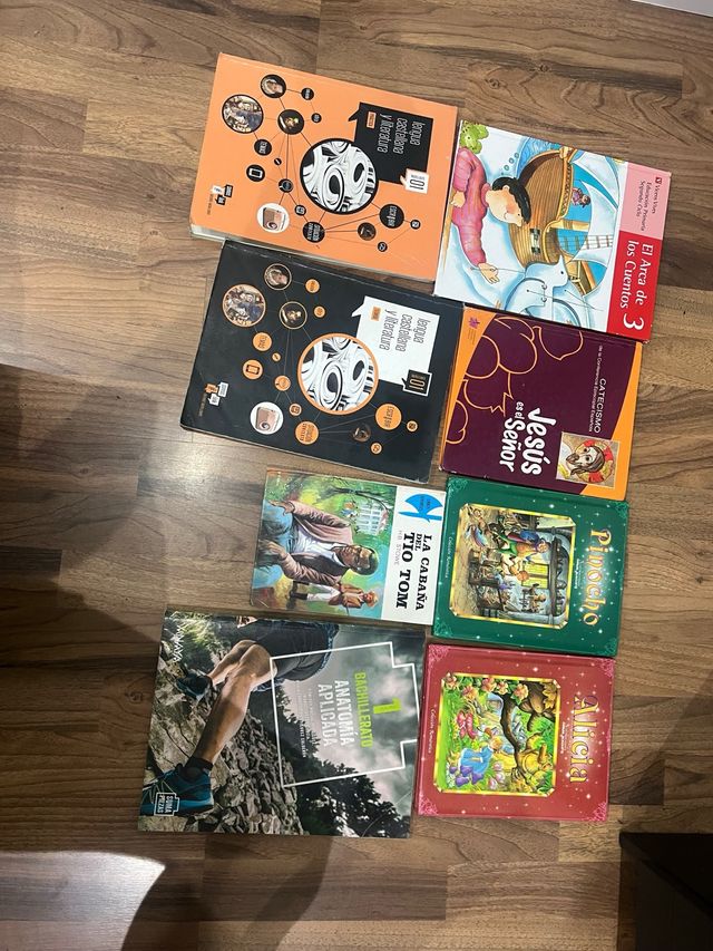 Lote de 8 libros infantiles y educativos